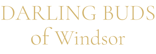 Darling Buds of Windsor