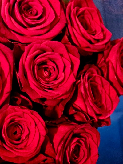 Valentines Rose Hand Tie   Water Bubble