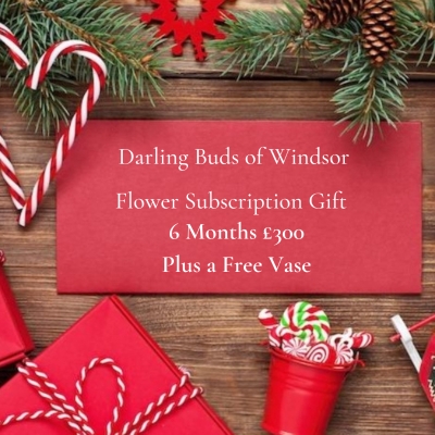 Monday Blooms Flower Subscription 6 Months + Free Vase