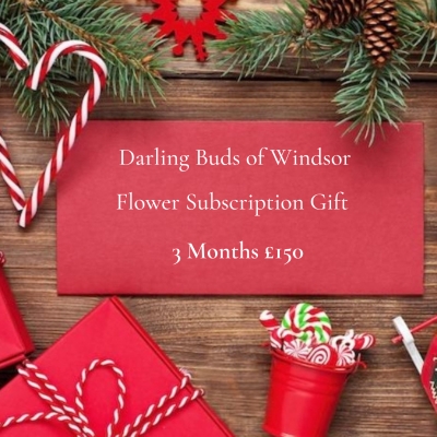 Monday Blooms Flower Subscription 3 Months
