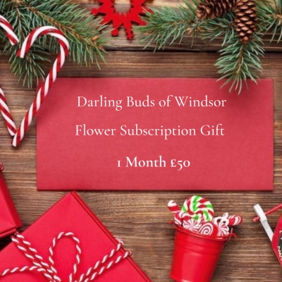 Monday Blooms Flower Subscription 1 Month
