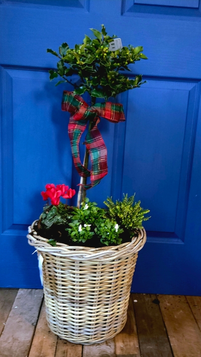 Winter Meduim Glenweave Basket