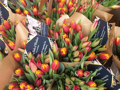 Monday Blooms Monthly Flowers