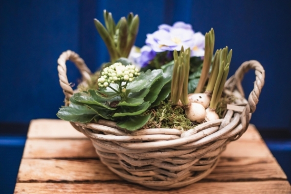 Easter Basket Workshop